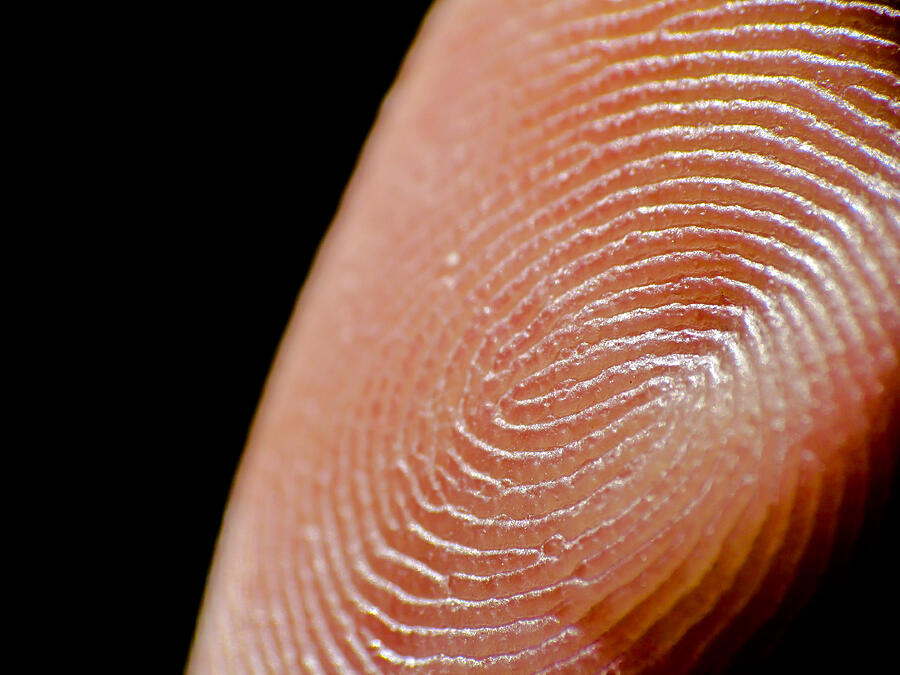Extreme closeup of finger prints Photograph by Leonardo Carneiro Photographic Art