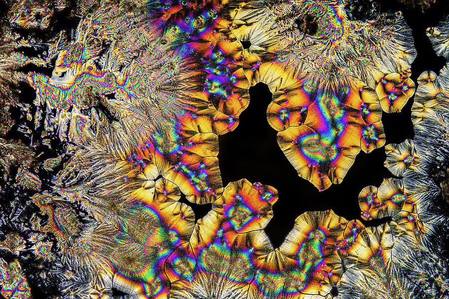 Extreme macro photograph of Vitamin C crystals Photograph by Mihai Andritoiu