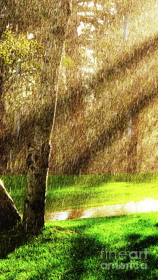 Extreme Rain Photograph by Glen Donley - Fine Art America