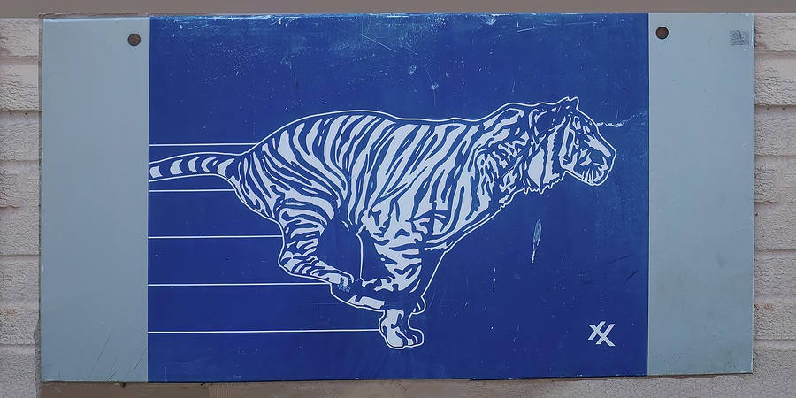 Man Cave Sign Photograph - Exxon tiger sign blue by Flees Photos