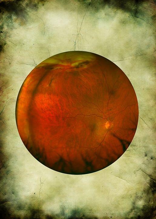 Eye # 3 Photograph by Jeffrey Platt