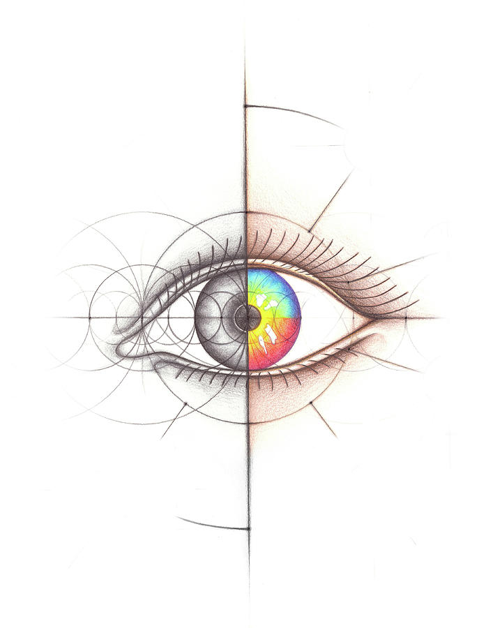 Eye Anatomy Geometry Spectrum  Drawing by Nathalie Strassburg