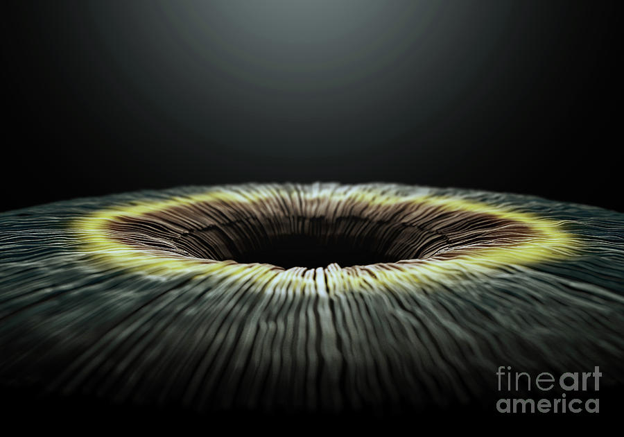 Iris Digital Art - Eye Iris Microscopic by Allan Swart