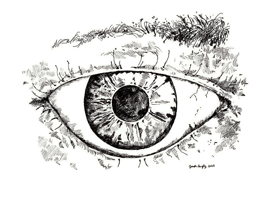 Eye Larger - September 2023 Drawing by Joseph A Langley Eye Larger - September 2023 Drawing by Joseph A Langley