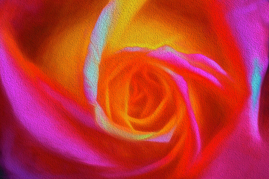Eye Of The Rose Photograph