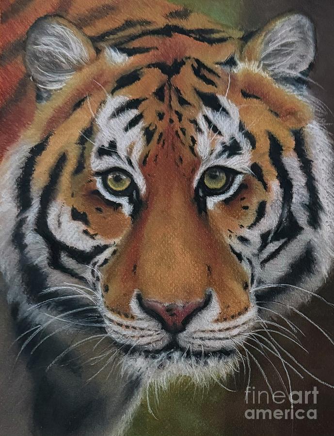 Eye of the Tiger Drawing by Lori Ippolito