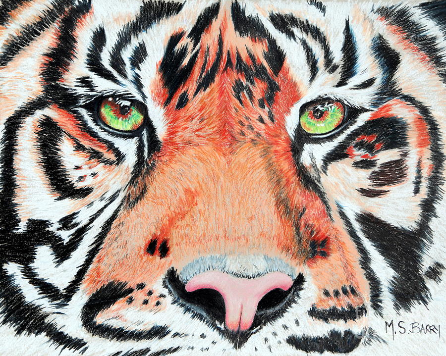 Eye of the Tiger Painting by Maria Barry