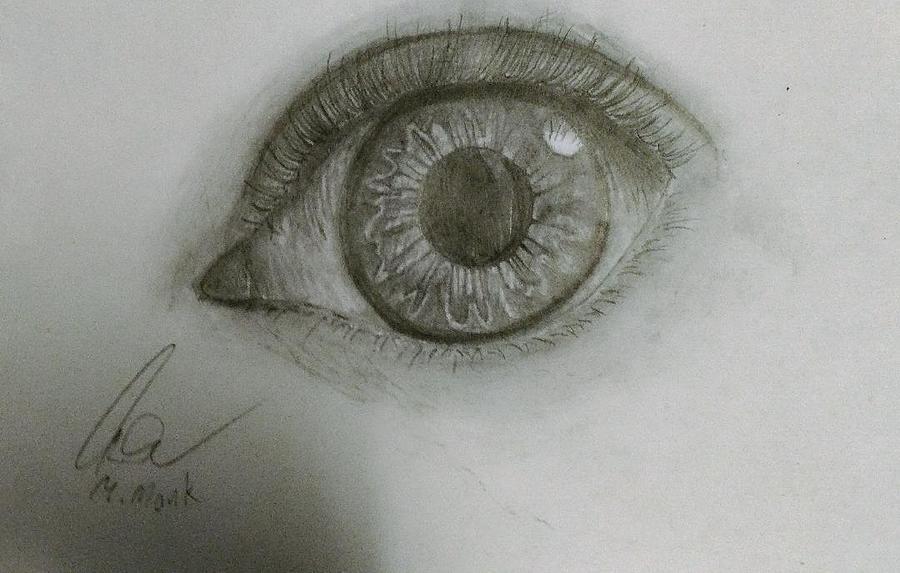 Eye  To Eye Drawing by Macail Monk
