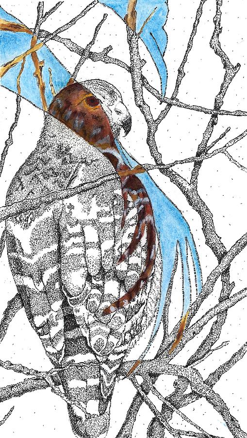 Eyes In The Sky Drawing by Divine Jones Pixels