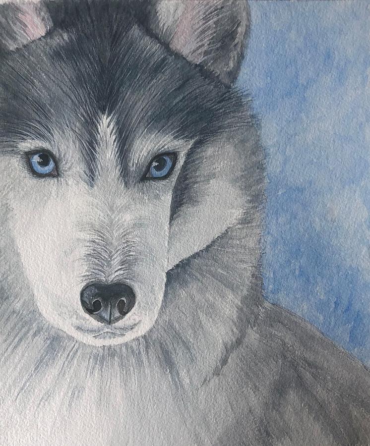 Husky Painting - Eyes of Blue by Judy Thompson