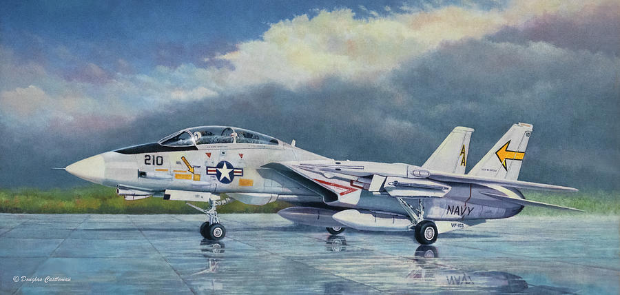 F-14A Tomcat Painting by Douglas Castleman