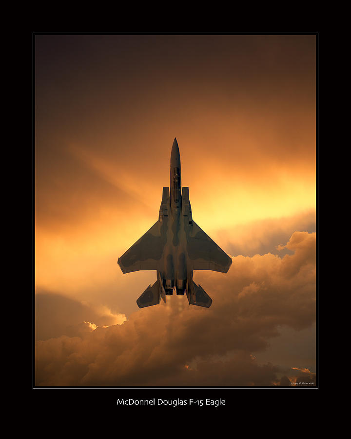 Airplane Photograph - F-15 Eagle by Larry McManus