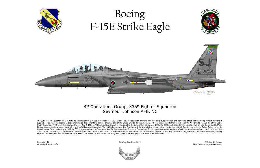 Airplane Digital Art - F-15E Strike Eagle 335th FS by Arthur Eggers
