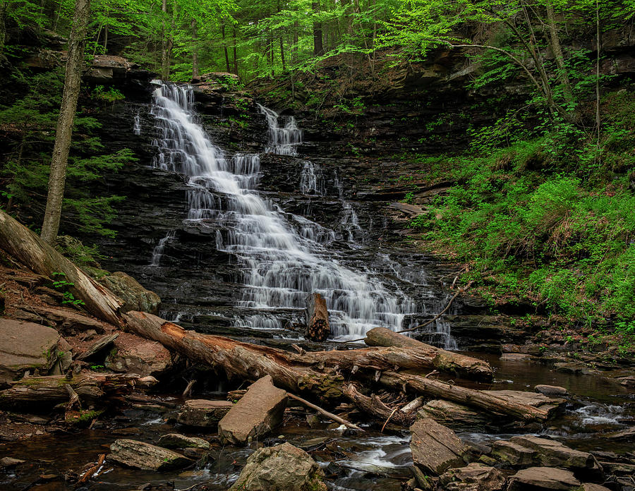 F. L. Ricketts Falls Ricketts Glen State Park Photograph by Dan Sproul