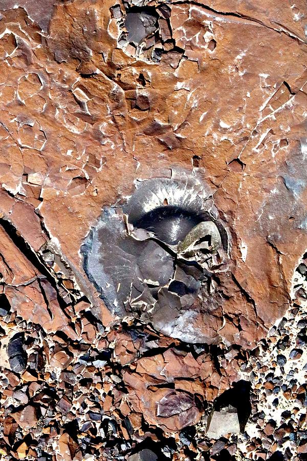 Face buried in the Rock Photograph by Brian Sereda