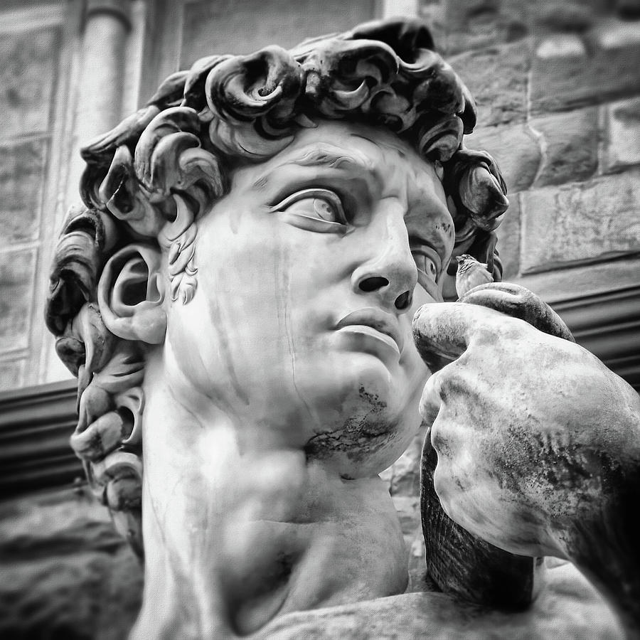 Face Detail of David by Michelangelo Florence Black and White  Photograph by Carol Japp
