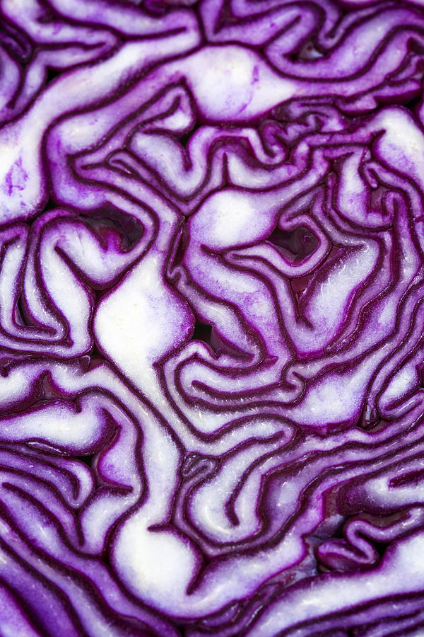 Face In Red Cabbage Photograph by By Spicyspiral