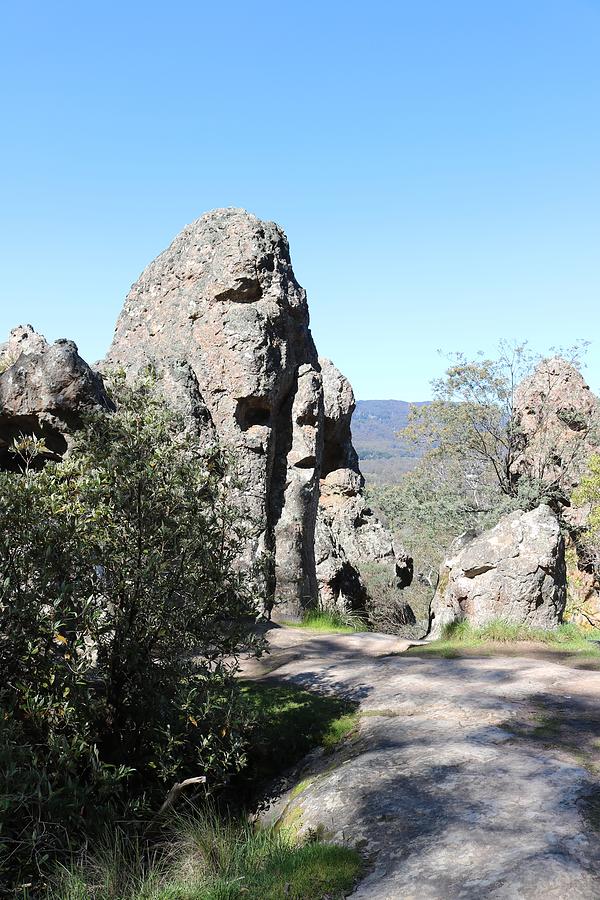 Face In The Rock Photograph