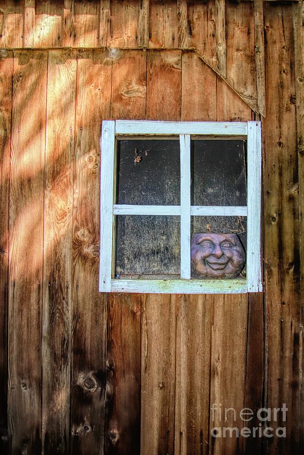 Face In The Window Photograph by Karen Silvestri