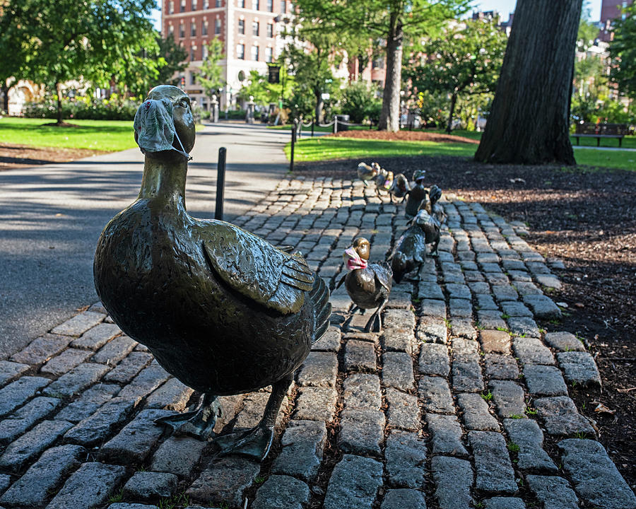 Face Masked Make Way for Duckling Boston Public Garden Boston Massachusetts Statues Photograph by Toby McGuire