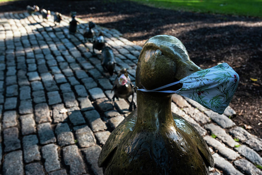 Face Masked Make Way for Duckling Boston Public Garden Boston Massavhusetts Photograph by Toby McGuire