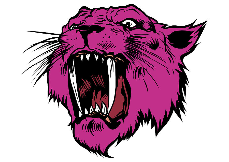 Face Of A Drawn Pink Panther Illustration Digital Art by Dean ...