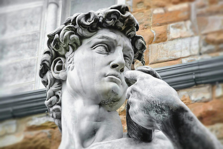 Face of David by Michelangelo Florence Italy  Photograph by Carol Japp