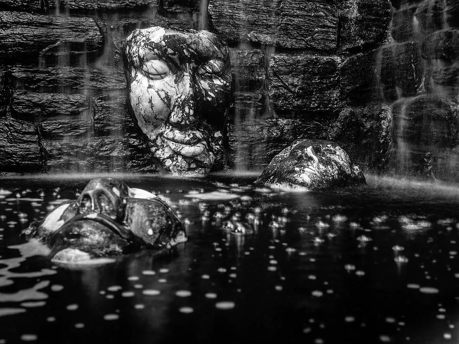 Faces in the Water BW Photograph by Kristia Adams