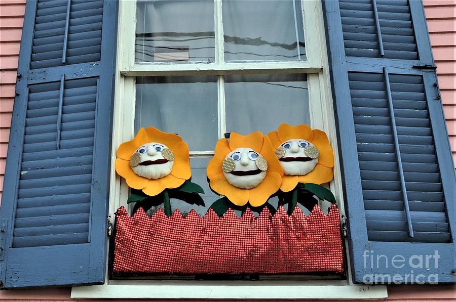 Faces In Windows Spring In New Orleans Photograph by Michael Hoard