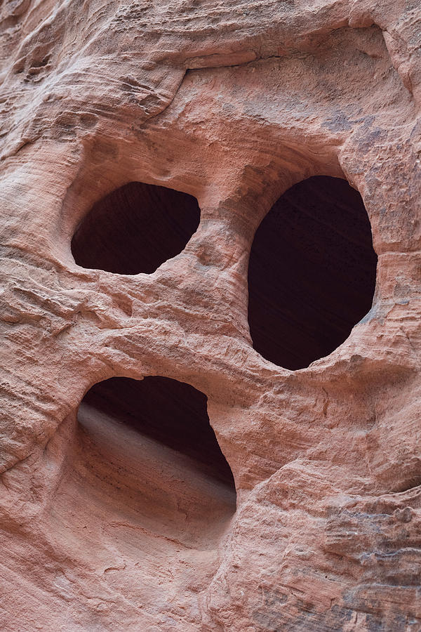 Faces of the Valley of Fire 3 Photograph by Alex Lapidus