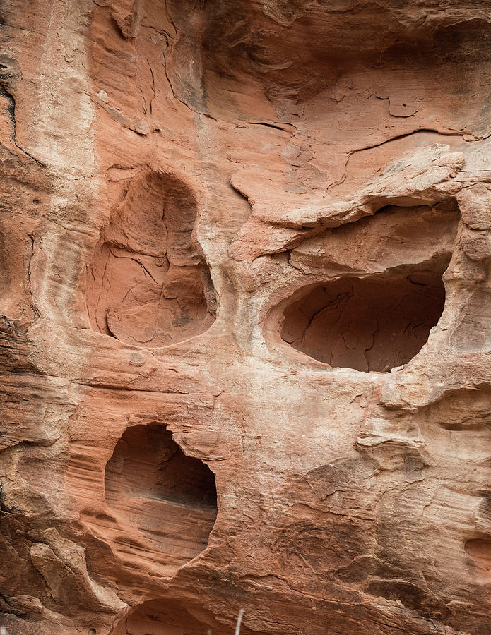 Faces of the Valley of Fire 6 Photograph by Alex Lapidus