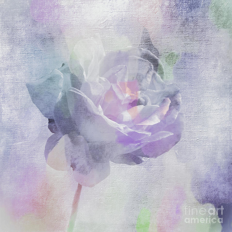 Faded Abstract Rose Photograph by Lynn Bolt