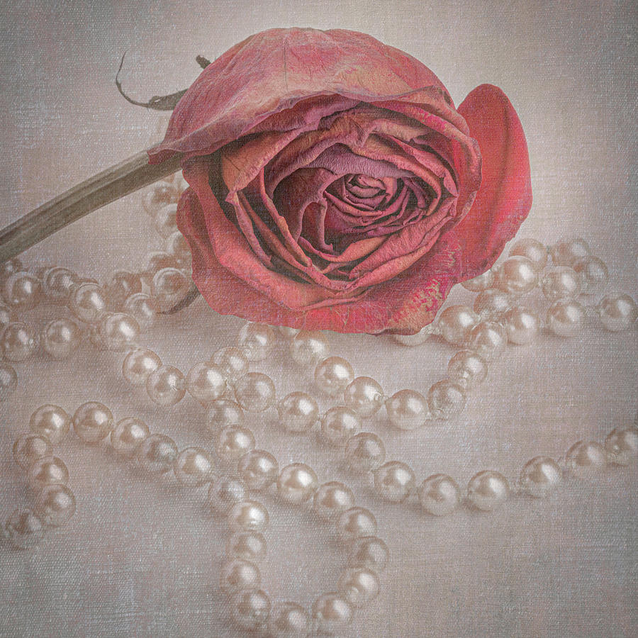 Faded Beauty On A Bed Of Pearls Mixed Media