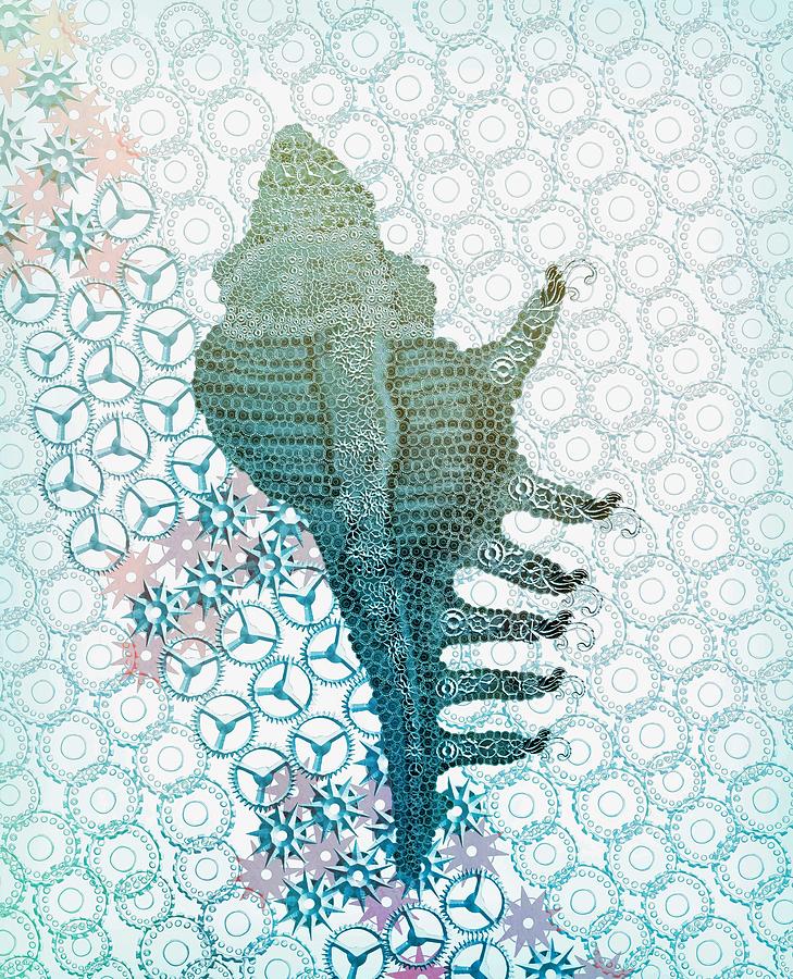 Faded Blue Cabrit Murex Digital Art by Joan Stratton