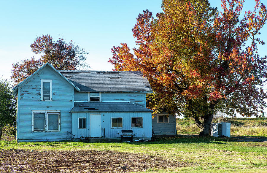 Faded Blue House and Autumn Maple Photograph by Tom Cochran