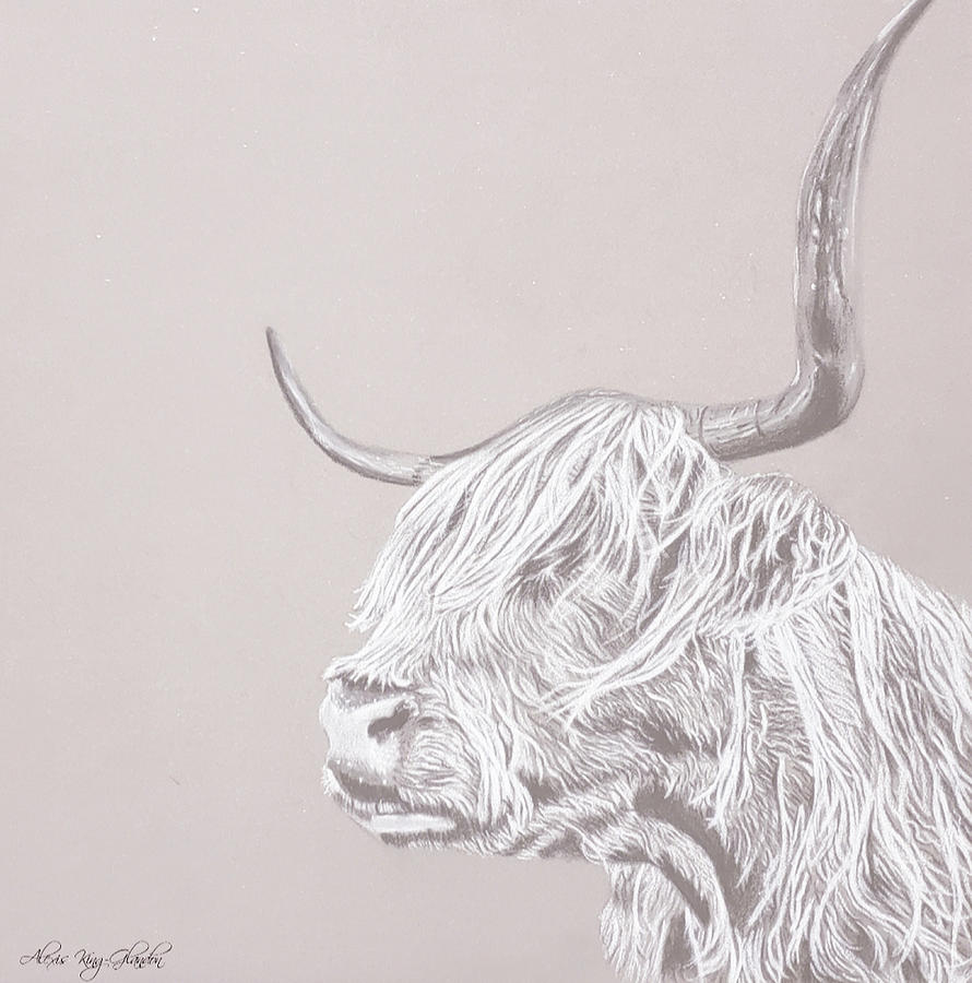 Faded Cow Drawing by Alexis King-Glandon