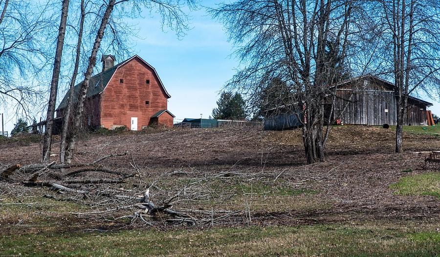 Faded Red Barn and Weathered Gray Shed Photograph by Tom Cochran