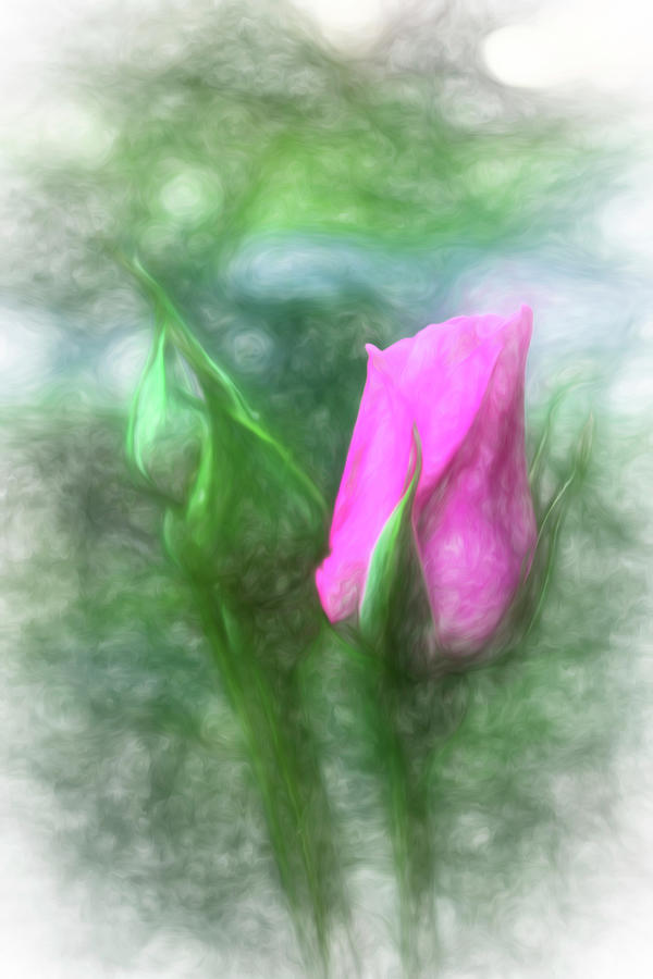 Faded Rose Digital Art by Terry Cork
