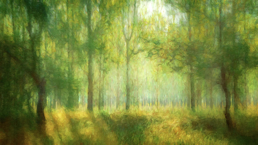 Fading Forest Digital Art by Terry Davis