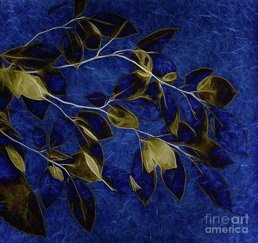 Fading Leaves Afterglow Photograph