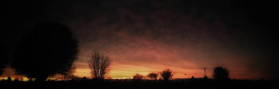 Fading Sunset Behind Trees of Black Photograph by Rowan Fletcher-Gibbs ...