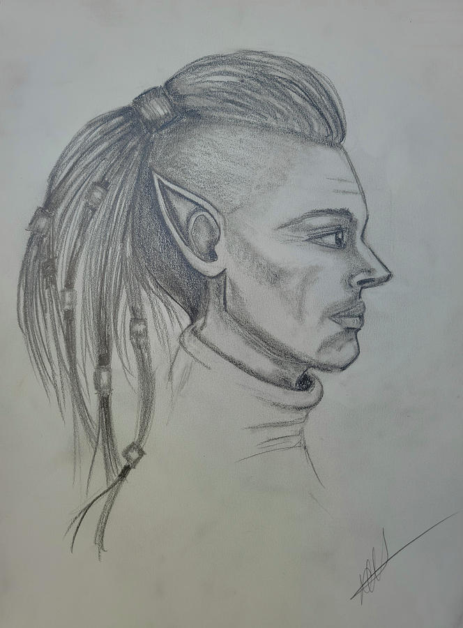 Fae Warrior Profile Drawing by Diana Haronis