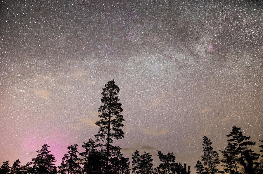 Faint pink aurora meeting the Milky way Photograph by Maria Dimitrova