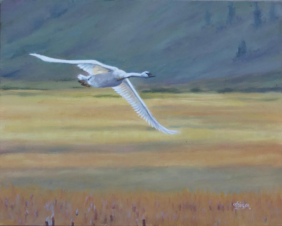 Fair Weather Flight Painting by Tammy Taylor
