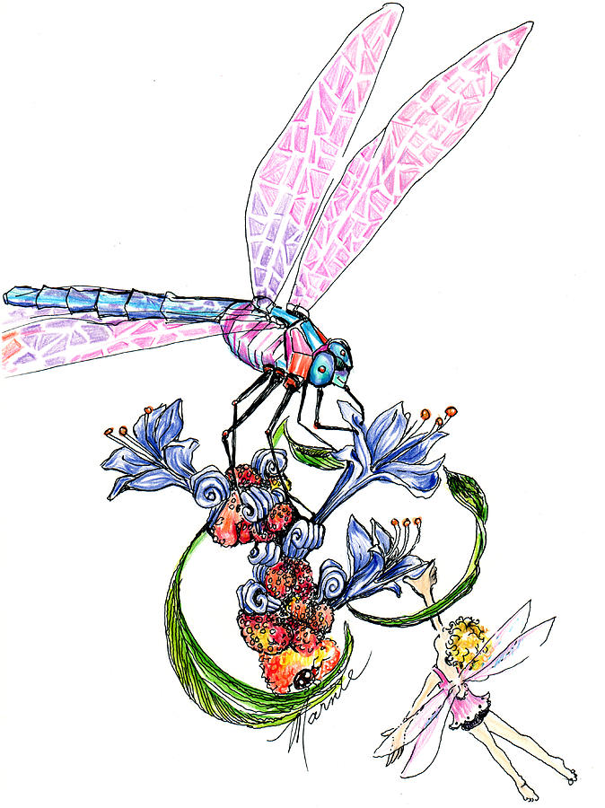 Fairy and Dragonfly Drawing by Marnie Clark