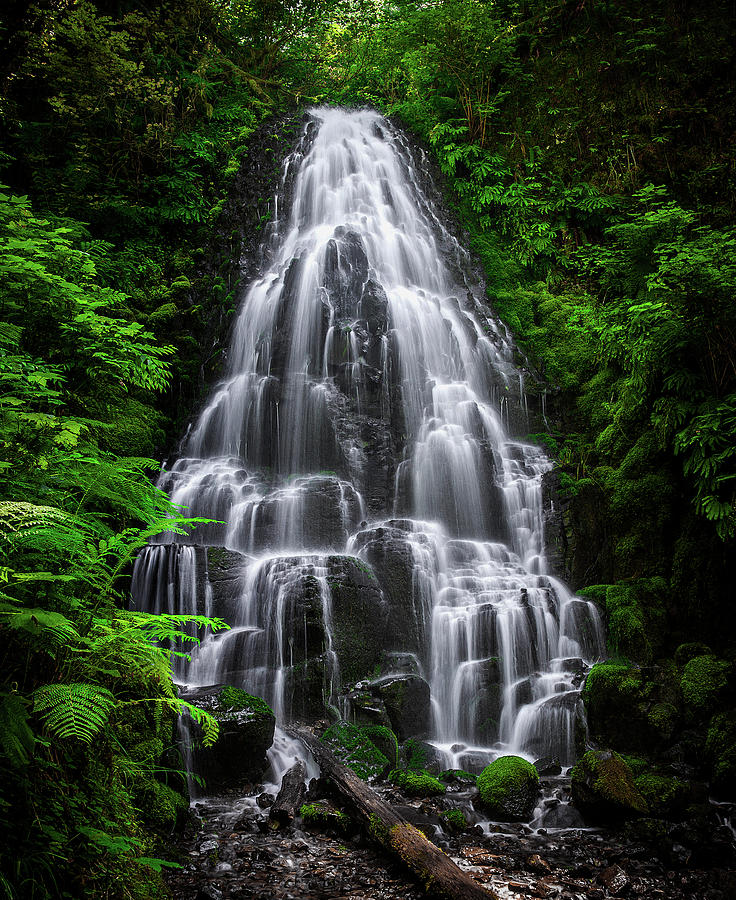 Fairy Falls, Oregon - Full View - Vertical Photograph by Abbie Matthews