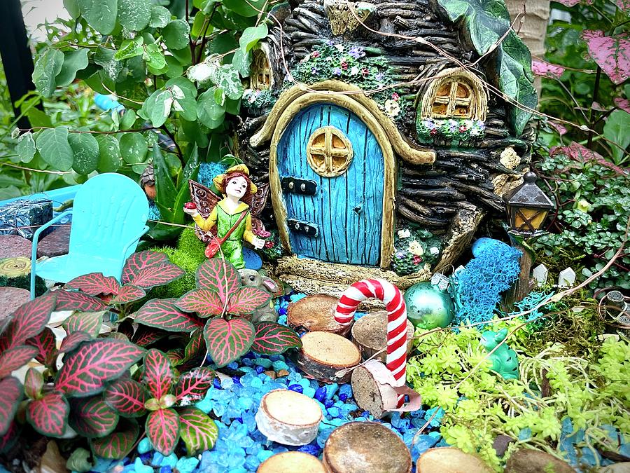 Fairy garden blue Photograph by Jane Linders