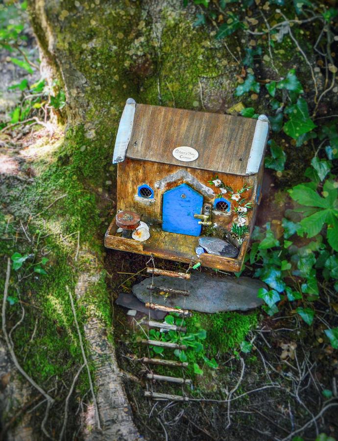Fairy House Photograph by Shannon Kelly