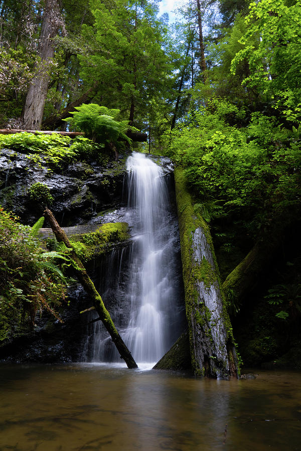 Fairy Land Photograph By Scott Beardsley - Fine Art America