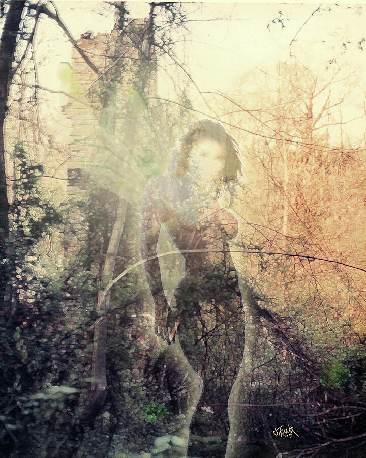 Fairy Light Digital Art by Joel Keener Fairy Light Digital Art by Joel Keener